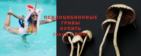 гидра Навашино