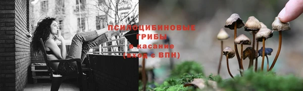 тгк Ессентукская